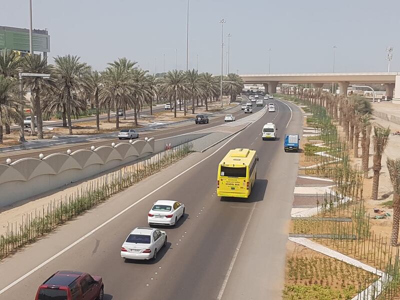Hundreds of palm trees were also planted. Courtesy Abu Dhabi Municipality 
