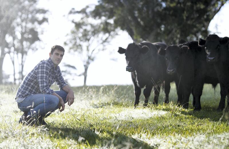 SOUTHERN HIGHLANDS, AUSTRALIA - APRIL 13: Australian Cricketer Pat Cummins poses with his cows while in isolation at his property on April 13, 2020 in Southern Highlands, Australia. Cummins, who is due to commence his record-breaking Indian Premier League deal worth 155 million Indian rupees ($A3.2m), has been home isolating at his property south of Sydney due to the COVID-19 epidemic. (Photo by Ryan Pierse/Getty Images)