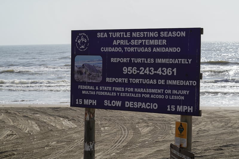 A sign at Boca Chica Beach warns of sea turtle nesting. 