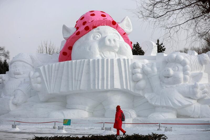 A visitor walks past a pig sculpture made from snow and ice marking the upcoming Lunar New Year of the Pig in Harbin in China's northeastern Heilongjiang province. AFP