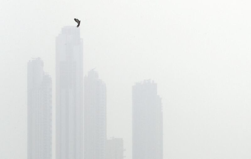 DUBAI, UNITED ARAB EMIRATES , Feb 26  – 2020 :-  Towers at the Downtown Dubai during the cloudy weather after the sandstorm in the morning in Dubai. (Pawan Singh / The National) For News/Online