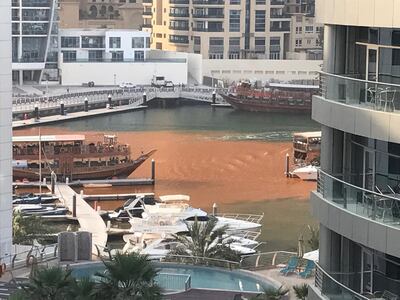 The waters of Dubai Marina turned orange in June. Courtesy Stewart Clarke