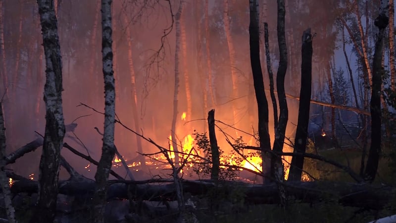 A forest blaze in Germany has continued to spread despite aerial firefighting efforts. AP