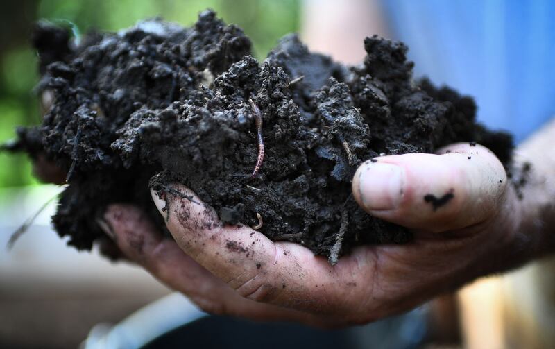 Healthy soil holds more carbon than all living organisms and the atmosphere combined. AFP