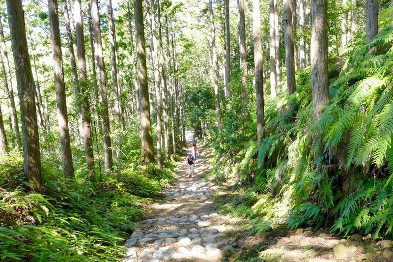 Climbing Stone Steps (Kumano Kodo Trail) (Photo by Sarah Madden)