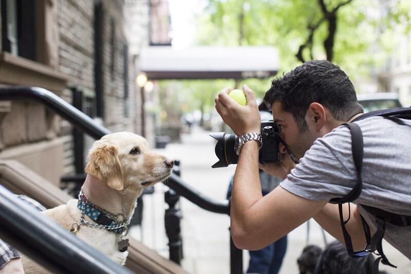 Elias Weiss Friedman photographing a dog in New York. Jeff Hodson / Artisan Books via AP