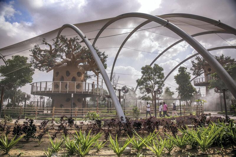 December 12, 2017.   Dubai Safari, Al Awir Road.  Media tour of the Dubai Safari.  Zoo Aviary.
 Victor Besa for The National
National
Reporter:  Nick Webster