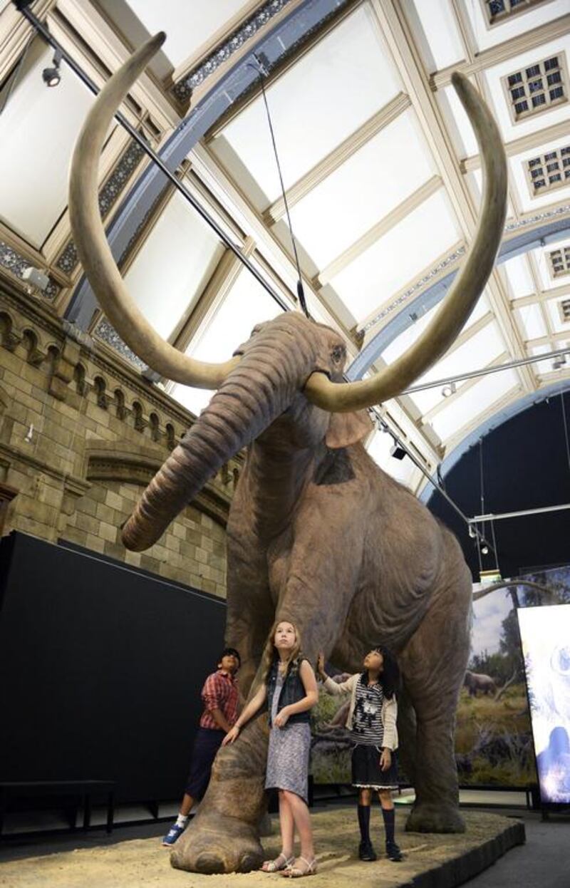 Children look at a Columbian Mammoth during a press preview at the Natural History Museum’s Mammoths, Ice Age Giants exhibition in London, Britain, on May 21, 2014. The exhibition will open from the May 23 until September 7. Facundo Arrizabalaga / EPA