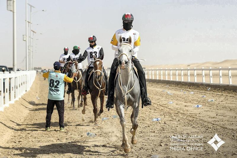 Riding Malimbo from the Wathba 1 Stables of Sheikh Mansour bin Zayed, Deputy Prime Minister and Minister of Presidential Affairs, Laila Abdul Aziz wins the President Cup, completing the distance in 6:03:21. Courtesy: Dubai Media Office