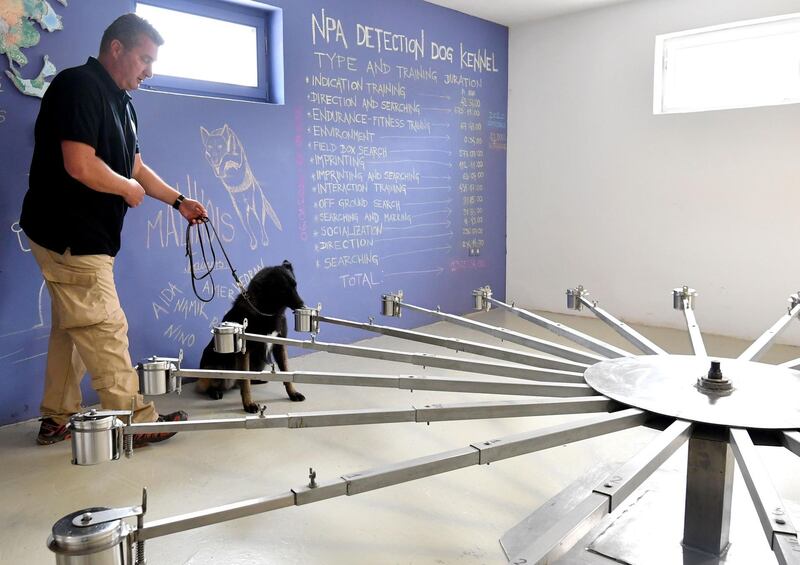 Bosnian dog trainer leads a Belgian Malinois dog through a scent marking facility. AFP