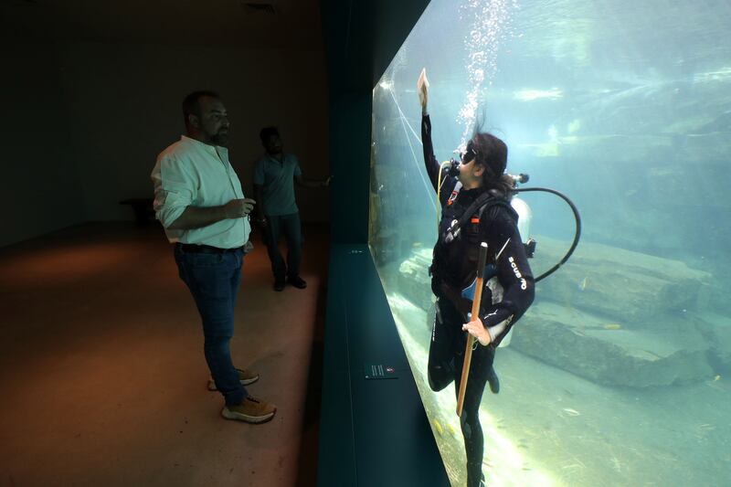 Marc Gansuana, crocodile specialist and curator, keeps a close eye on curator Tarryn Abrahams as she cleans algae in the tank 