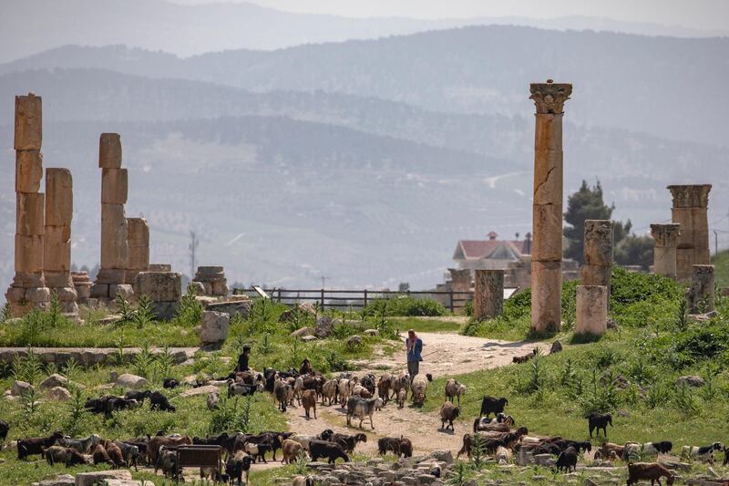 A Shepard stands near his flock of goats at the Roman ruins at Jerash, Jordan.  EPA