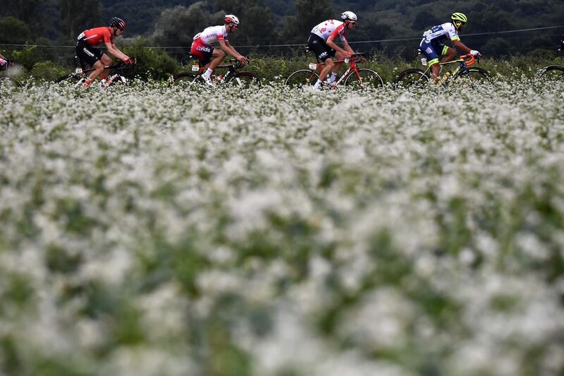 Left to right: Germany's Nikias Arndt, Pierre-Luc Perichon of France, Belgium's Tiesj Benoot and Andrea Pasqualon of Italy during the 12th stage between Toulouse and Bagneres-de-Bigorre, on July 18, 2019. AFP