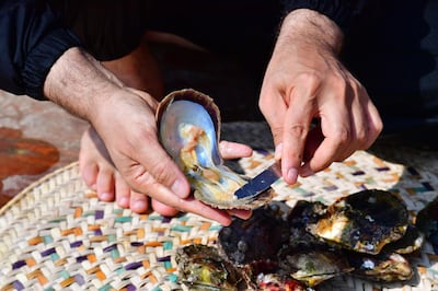 Emirati Abdullah al-Suwaidi displays a pearl found in a oyster at the Suwaidi's pearl farm, off the coast of al-Rams in the northern emirate of Ras al-Khaimah, on October 31, 2019. Suwaidi's project, one of a handful of operations in the United Arab Emirates, comes against a backdrop of increasing awareness of cultural traditions, such as falconry and camel racing, and efforts to promote and preserve them. Last month, Abu Dhabi authorities announced that the world's oldest natural pearl, found just off the capital at Marawah Island, would be displayed for the first time at the Louvre Abu Dhabi, the local outpost of the famous Paris museum.
 / AFP / GIUSEPPE CACACE
