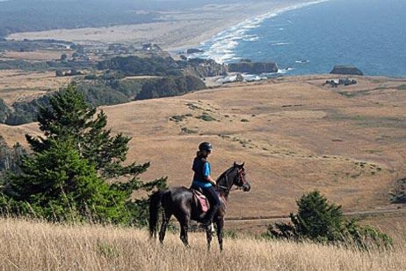 The current drought in California's Mendocino County – an area known for outstanding beauty – is showcasing the region's precarious water situation.