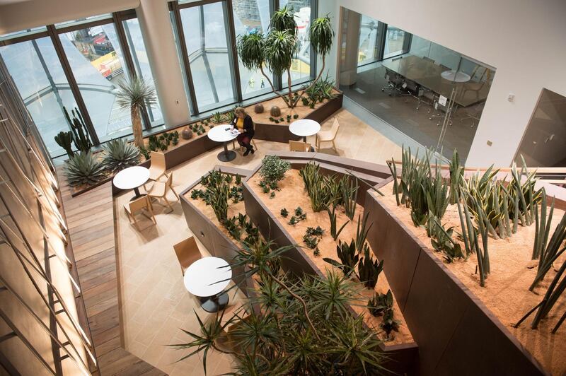 The Canyonlands Garden, which represents the Grand Canyon and the south west desert landscapes of the United States, goes on show for the first time prior to the unveiling of the new US Embassy building in London. Stefan Rousseau - WPA Pool / Getty Images