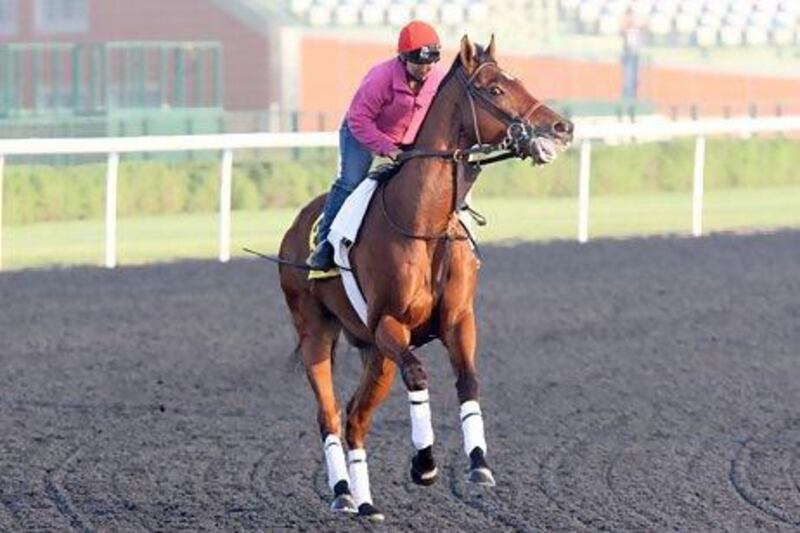 Little Mike will be looking for his first victory since taking the Breeders’ Cup Turf in November. Jaime Puebla / The National