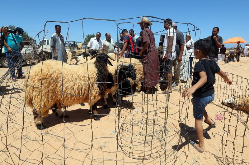 Libyans buy livestock at a cattle market in the city of Tajura southeast of the capital Tripoli on July 28, 2020, as Muslims prepare for the Eid al-Adha celebrations. Known as the "big" festival, Eid Al-Adha is celebrated each year by Muslims sacrificing various animals according to religious traditions, including cows, camels, goats and sheep. / AFP / Mahmud TURKIA
