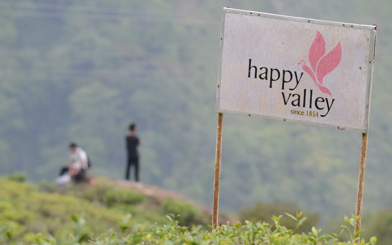 Happy Valley Tea Estate is one of highest tea plantations in the world