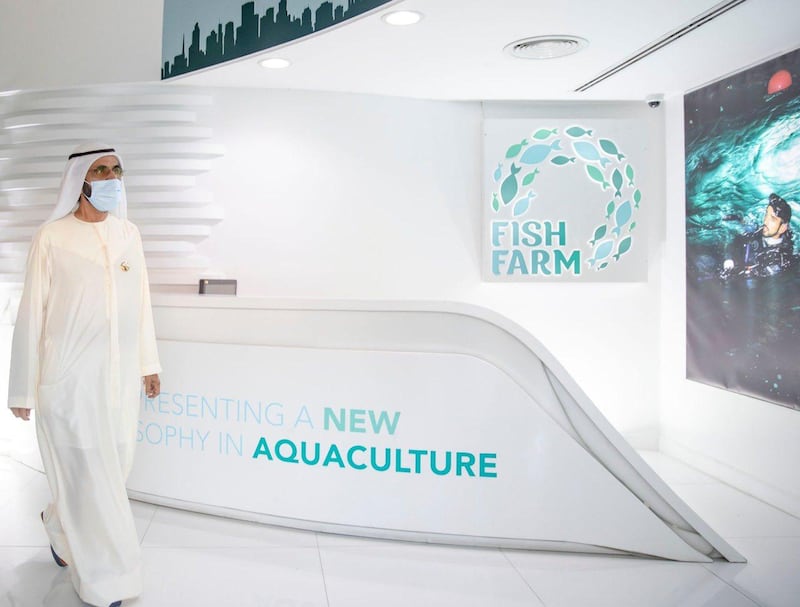 Fish Farm has been growing organic sea bass, sea bream and hammour for several years.