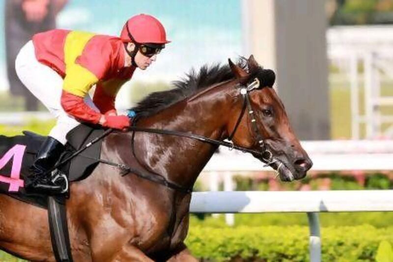 Vlad Duric will ride Always Certain in the feature race at Meydan tonight as trainer Michael Freedman looks to maintain Singapore’s impressive form in Dubai this year.