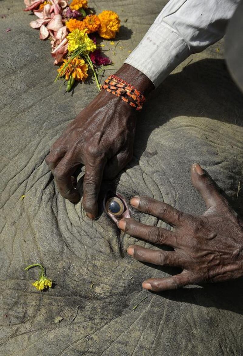 An Indian man shows the eye of a dead elephant at a field in Lokhisapori area, Sonitpur district of Assam state, India. EPA