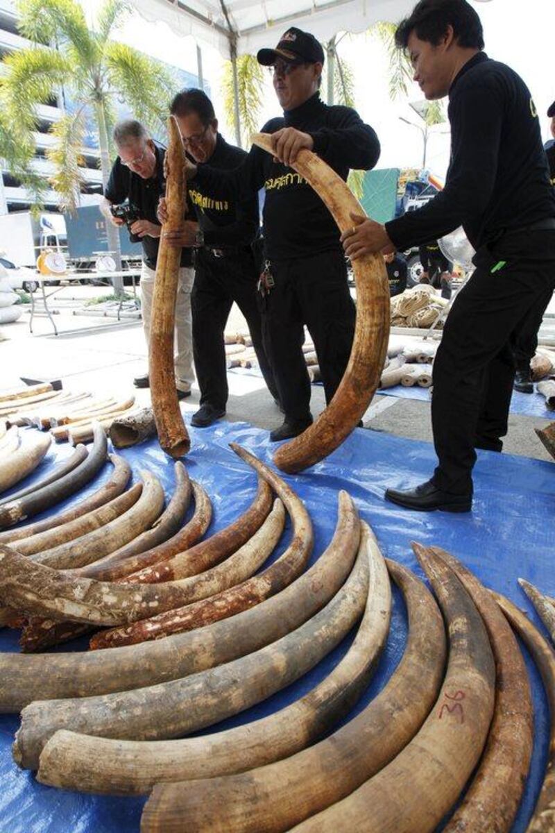 Thailand is one of the top destinations for African ivory smuggling in Asia and could face international sanctions if it does not show progress in combating the problem. Chaiwat Subprasom/Reuters