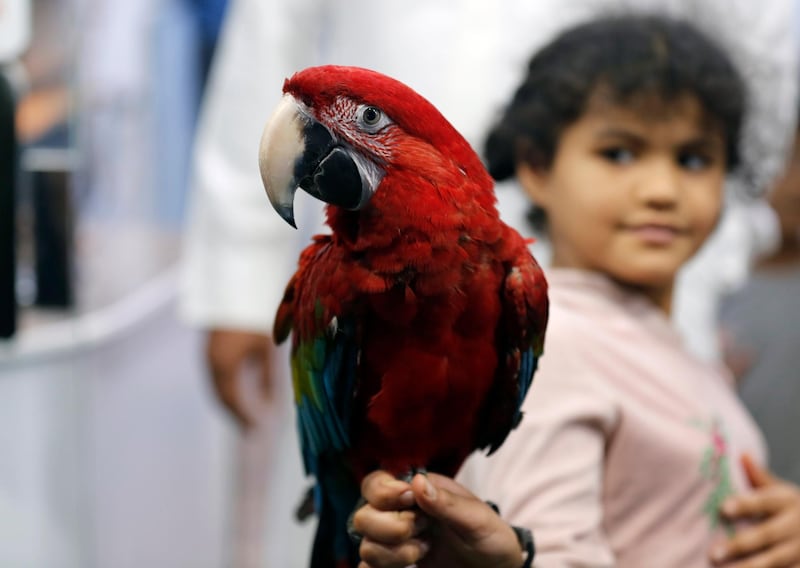 A girl carries a red parrot displayed for sale at a bird market in Jeddah, Saudi Arabia. AP