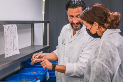 Dr Haythem Riahi, co-founder of Circa Biotech, at the company's Masdar City home with Mariam Al Mheiri, during her previous capacity as Minister for Climate Change and Environment. Photo: Circa Biotech