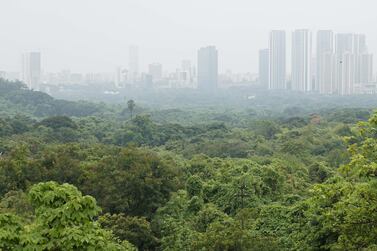 Green cover at Aarey colony in Mumbai, India. Getty Images