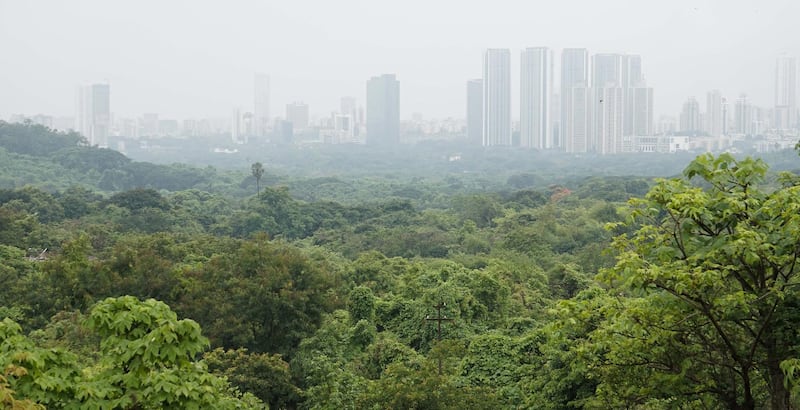 Green cover at Aarey colony in Mumbai, India. Getty Images