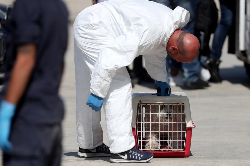 epa07058899 A man carries a dog by the name of Bella that accompanied the migrants on board the Maltese Armed Forces of Malta patrol boat P52 as they disembarked at the the Armed Forces of Malta base at Hay Wharf, in Floriana, Malta, 30 September 2018. The 58 migrants who were transferred from the de-flagged rescue ship MV Aquarius 2 onto the Maltese patrol boat in international waters have been unable to reach Maltese waters for four days due to bad weather in the Mediterranean.  EPA/DOMENIC AQUILINA