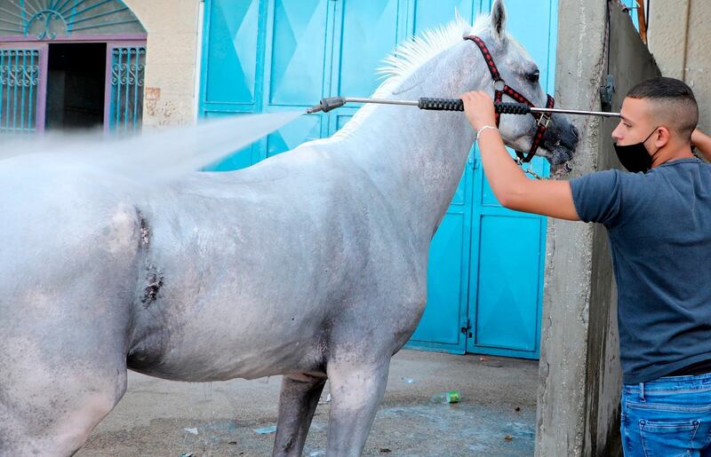 A resident of the Askar Palestinian refugee camp, east of the occupied West Bank city of Nablus, washes a horse.  AFP