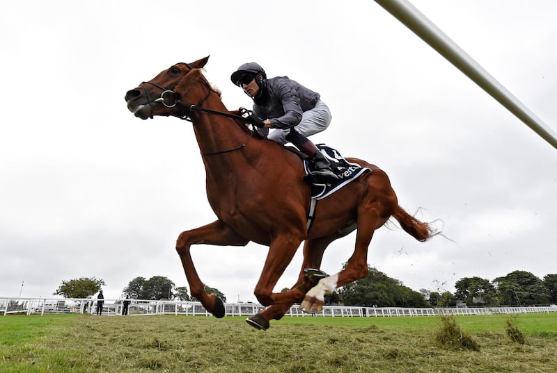 Horse Racing - Derby Festival - Epsom Downs Racecourse, Epsom, Britain - July 4, 2020  Serpentine ridden by Emmet McNamara wins the Investec Derby, as racing resumed behind closed doors after the outbreak of the coronavirus disease (COVID-19)   George Selwyn/Pool via REUTERS     TPX IMAGES OF THE DAY