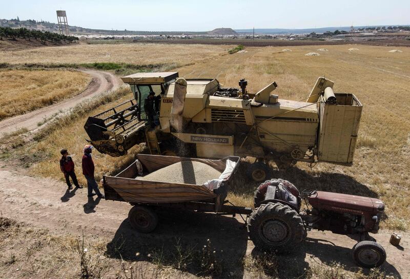 Farmers fill a tractor with freshly harvested wheat.