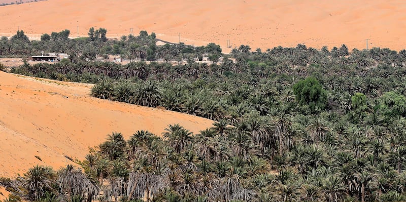 A view of Liwa oasis in Abu Dhabi.