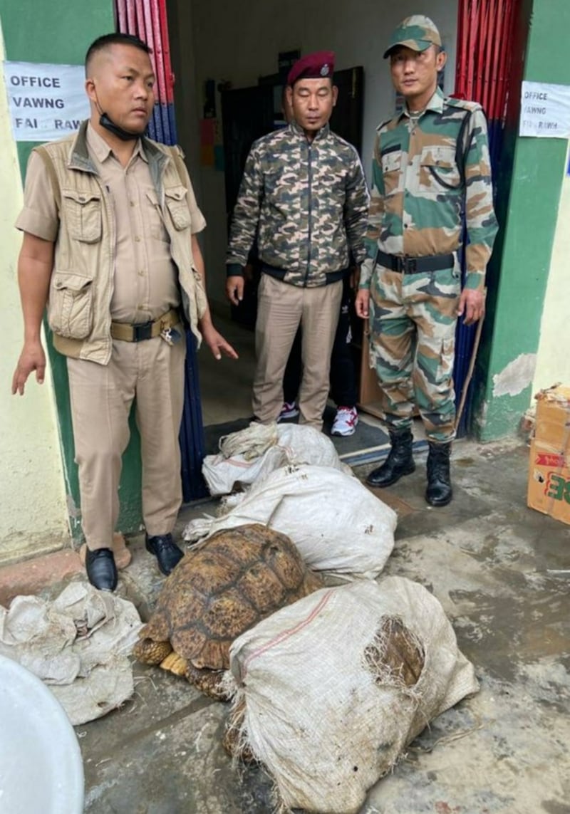 Wildlife experts say the reason for the sharp increase in smuggling cases is the high demand for the rare animals as pets.
