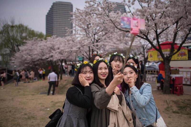 A group of women take a selfie beneath cherry blossoms on Yeouido island in Seoul. The annual cherry blossom festival on Yeouido island in central Seoul runs from April 1-10. Ed Jones / AFP