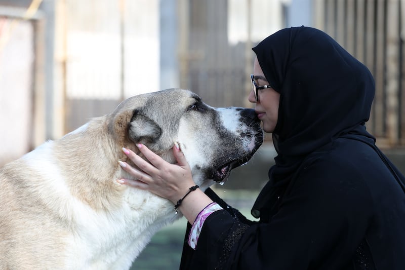 Sara Al Zaki with Droolz at the Furrballs dog shelter in Ajman. Last week, Furrballs announced it was shutting its doors after more than five years of rescuing animals. All photos: Chris Whiteoak / The National