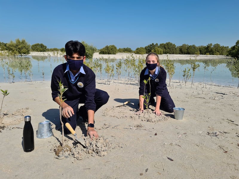 Lilly-Rose Mayall and Amaan Haider of the British School Al Khubairat plant mangrove seedlings. Victor Besa / The National