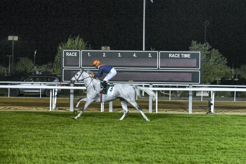 Abu Dhabi, United Arab Emirates - Patrick Dobbs, wins the Dh5 million Group 1 Sheikh Zayed bin Sultan Al Nahyan Jewel Crown race in the Abu Dhabi Equestrian Club. Khushnum Bhandari for The National