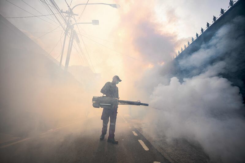 A pest control officer fumigates a street with insecticides in Jakarta amid efforts to stop the spread of mosquitoes responsible for dengue fever. AFP