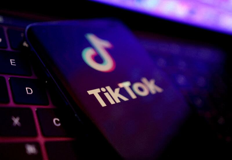 TikTok said it was 'disappointed at this suspension, which is based on basic misinformation about our company'. Reuters