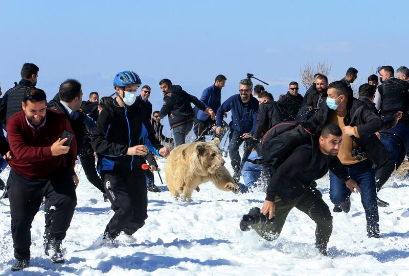 People and security members run away as a bear is released into the wild in Dohuk, Iraq. Reuters