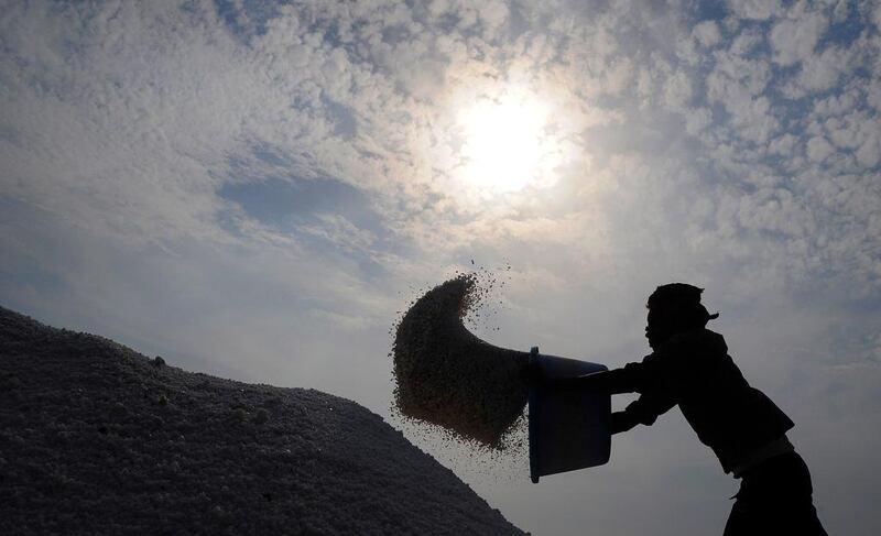An Indian labourer empties a tub of salt at a salt pan on the outskirts of Mumbai. Mumbai and its suburbs have over 6,000 acres of salt land – both privately-owned and lease-held – under litigation as private businesess eye these lands for commercial  development. Indranil Mukherjee / AFP