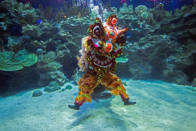 A Malaysian diver performs a lion dance inside an aquarium ahead of the upcoming Chinese New Year celebrations in Kuala Lumpur, Malaysia. EPA