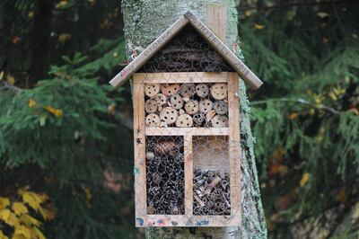 A bug hotel allows children to observe mini-beasts and learn about their ecological importance. Photo: Tania Malrechauffe / Unsplash
