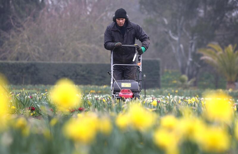 LONDON, ENGLAND - MARCH 02: A member of staff mows the borders in front of the palm house at The Royal Botanic Gardens, Kew on March 02, 2021 in London, England. (Photo by Chris Jackson/Getty Images)