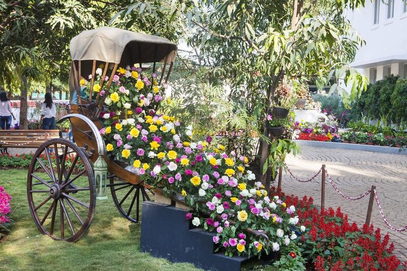 Colorful Roses at the Richshaw of Roses theme Garden. Subhash Sharma for The National