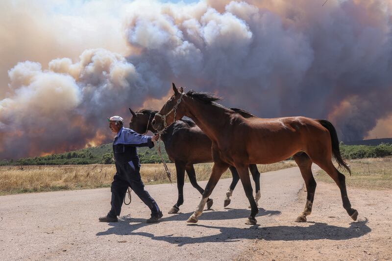 A man evacuates horses as a wildfire burns near the village of Pournari, Greece, this summer. Photo: Reuters